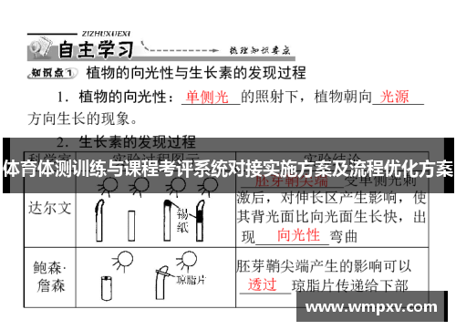 体育体测训练与课程考评系统对接实施方案及流程优化方案